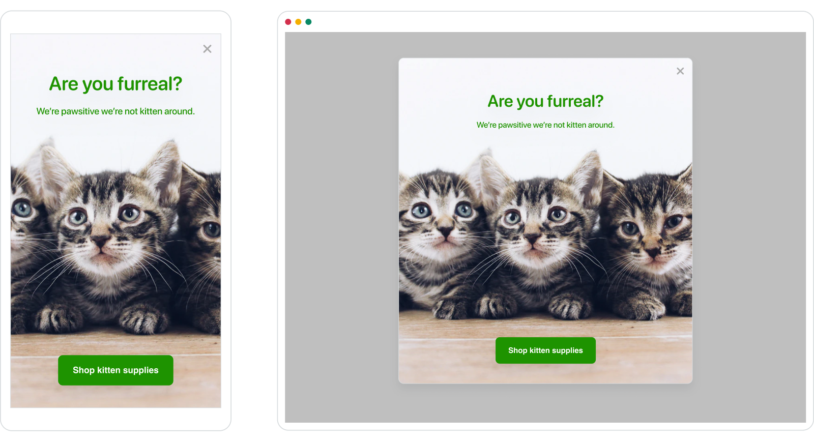 Full screen in-app message example.